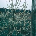 Mag_S07A_033
