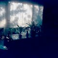 Mag_S07A_040